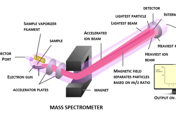 Mass spectrometer 4