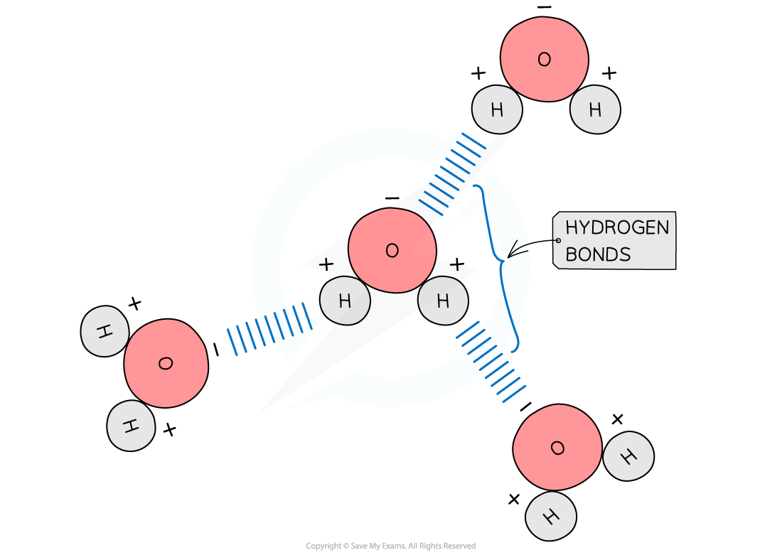 Hydrogen bonds between water molecules