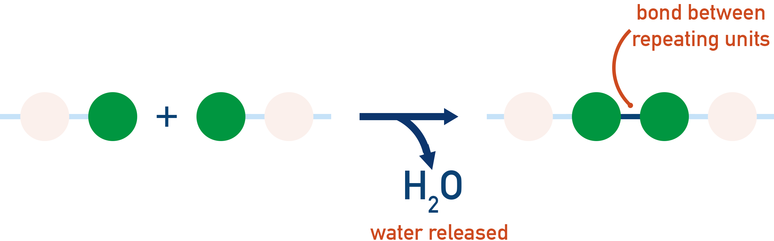 Condensation and Hydrolysis
