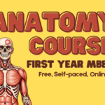 Anatomy – First Year MBBS